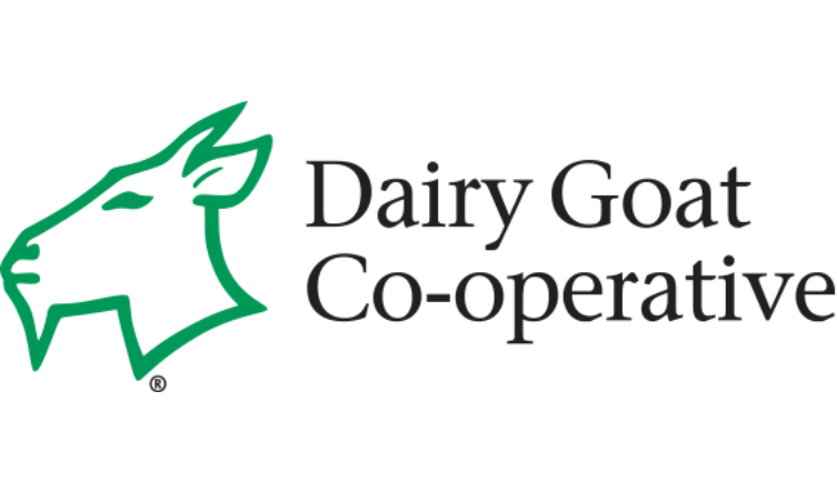 Dairy Goat